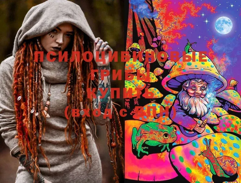 shop формула  Долинск  Псилоцибиновые грибы Magic Shrooms 